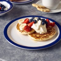 MelaminePlateBlueRim